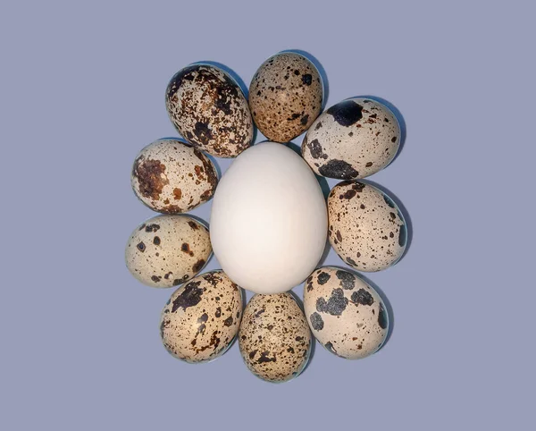 Quail eggs around a white chicken egg on a pink background. The ovum analogy