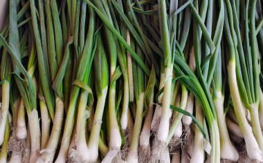 Süpermarketin vitrininde taze soğan. Arka plan ve ekran koruyucu. Telefonla çekilmiş.