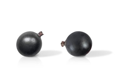 Beyaz arkaplanda kuşüzümü var.