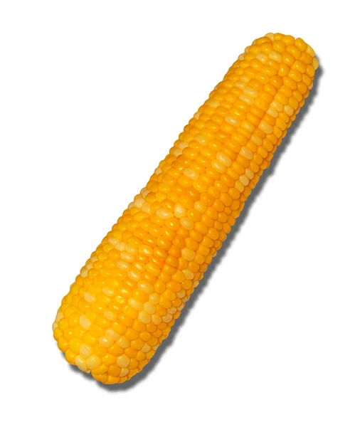 Isolated Sweet Corn One Boiled Corncob White Background — Stock Photo, Image