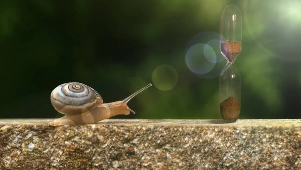 Small Snail Crawls Glass Hourglass Blurred Natural Background — Stock Photo, Image