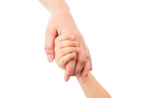 白い隔離された背景に手を握る大人および子供の手 — ストック写真