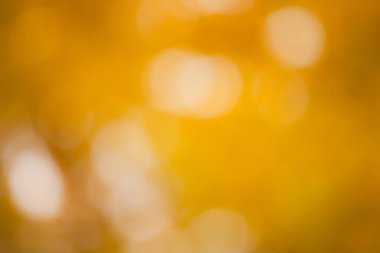 Bokeh ışıkları, yumuşacık çözünmüş, sonbahar ağacının sarı tacı ve arkasında güneş ışığı. Doğal desen