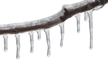 İzole edilmiş beyaz bir arkaplanda, çalışma çizgisi olan buzlu bir dalın bir parçası.