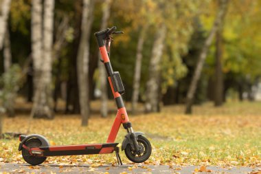 Bir sonbahar parkının arka planında sıcak tonlarda elektrikli scooter.