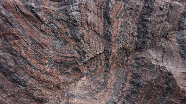 Jeolojik kalıplarda taş arka plan. Sert Yüzey