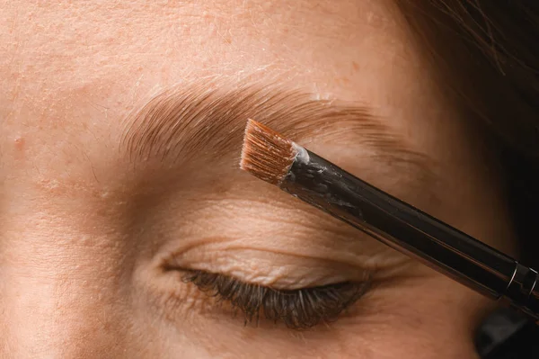 close-up of cosmetic brush applying lamination gel to female eyebrow. Professional makeup and skin care cosmetology.
