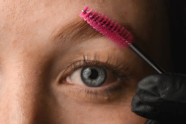 close-up of female eye and eyebrows which the hand of master combs with special brush. Professional eyebrow care.