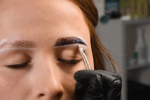 Close-up on precess of tinting of eyebrow hair woman, brow correction. Professional makeup and skin care cosmetology.