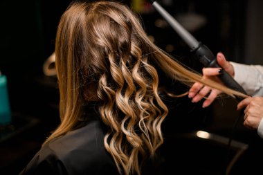 selective focus on head with beautiful curled strands of female hair. Stylist curls hair with modern clipless curling iron.