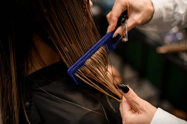 Hairdressing services. Hands of hairdresser with comb and scissors in process of haircut health female hair in salon. Close-up