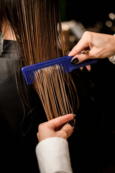 Close Strand Hair Client Which Hands Professional Hairdresser Gently Comb — Φωτογραφία Αρχείου