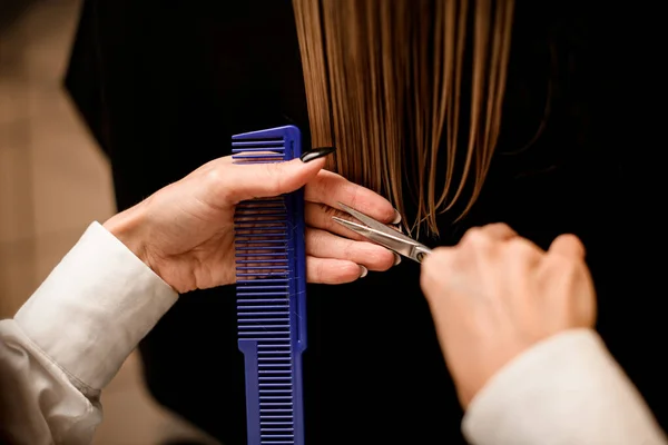 Hairdressing services. Hands of hairdresser with comb and scissors in process of gently haircut health female hair in salon. Close-up