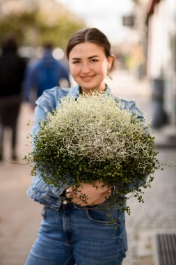 Elinde güzel löcophyta ve yeşil soleirolia bitkileriyle gülümseyen genç ve güzel bir kadın.