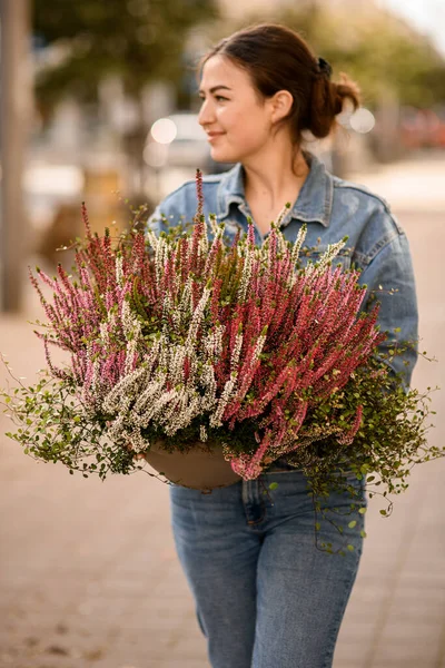 Pot Bunga Besar Dengan Tanaman Heather Berbunga Tumbuh Tangan Wanita — Stok Foto