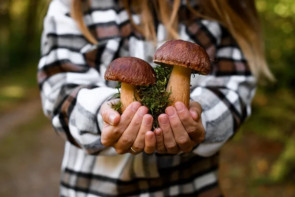 若いです女の子保持で彼女の手二大香りポルチーニキノコ収集によって自分自身で秋の森 — ストック写真