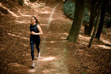 Uzun ağaçlar arasında dar orman patikalarında koşan genç ve zinde bir kadının güzel manzarası. Açık havada egzersiz yapmak aktif yaşam tarzı koşucuları için sağlıklıdır..