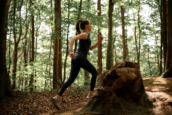 Achteraanzicht Runner Blanke Vrouw Zwart Sport Uniform Joggen Het Bos — Stockfoto