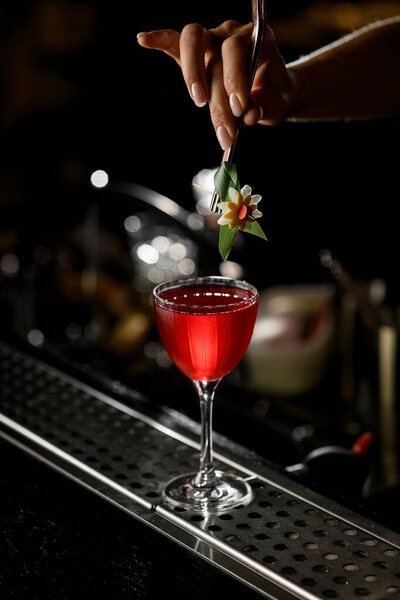 Closeup view of woman bartenders hand holding tweezers with fresh plant and decorating glass with red alcoholic cocktail at bar counter. Dark background. Space for text.