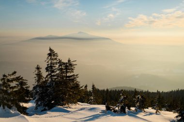 Arkasında dağ sıraları olan karlı bir dağın tepesindeki ağaçlar. Parlak güneşli gün, harika kış havası