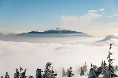 Karlı dağ yamaçları, kozalaklı ağaçlar ve arka planda bulutların arasından görünen bir dağ zirvesi. Kış güneşli bir gün. Kış mevsimi.
