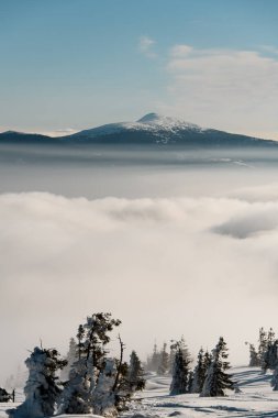 Karlı dağ yamaçlarının büyüleyici manzarası kozalaklı yeşil ağaçlar ve arka plandaki bulutların arasından görünen bir dağ zirvesi. Kışın dağlarda güzel bir kar manzarası. Ormanlı