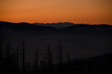 Güneş doğarken güzel kış dağları. Dağ zirveleri ve köknar ağaçları turuncu sabah gökyüzüne karşı dağ zirvesi, orman, ağaçlar, gündoğumu, kış mevsimi.