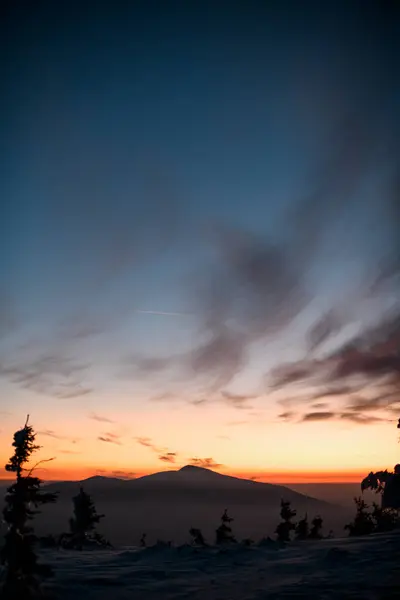 夕阳西下 白雪覆盖的山峰 头顶上乌云密布 前景一片冷杉 宏伟的冬季风景 — 图库照片