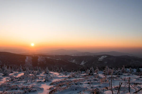 在寒冷的冬日早晨 雾气和日出的阳光映衬下 美丽的山景与云杉林 冬季自然的概念 — 图库照片