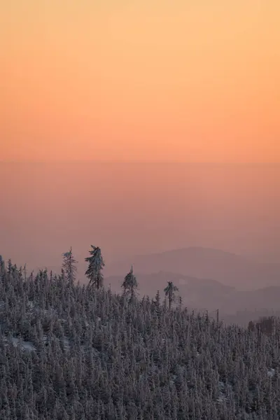 冬天的风景 雪盖在阳光下的高山上 最受欢迎的远足和旅行地点 冬天的仙境令人震惊的自然背景 喀尔巴阡山脉 — 图库照片