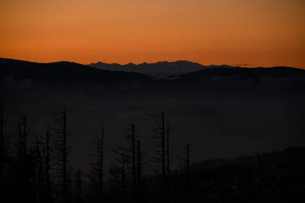 Beautiful Winter Mountains Sunrise Mountain Peaks Fir Trees Silhouettes Orange — Stock Photo, Image