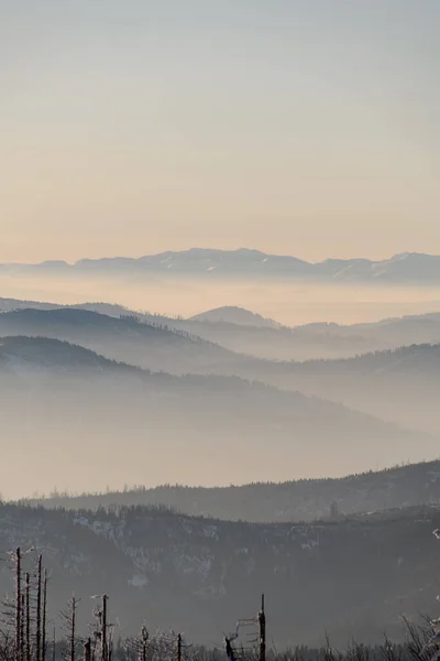雾蒙蒙的高山上 令人惊奇的冬季风景 美丽的冬季背景 — 图库照片