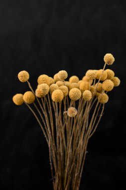 natüralite kompozisyonu, natüralite fotoğrafı, şefkat ve güzel bir buket. Durgun bir hayat fotoğrafında küçük doğal pastel çiçekler.