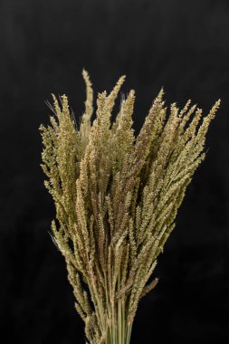 Şefkat ve çekicilik bir bukette. Çiçekli bir fotoğrafta bir buket boyanmış çiçek bir kadının elinde.