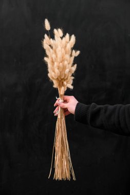 Şefkat ve güzellik bir buket pastel çiçekte narin bir elde. Bir kadının elinde açık bej çiçeklerden oluşan bir buket siyah arka planda.