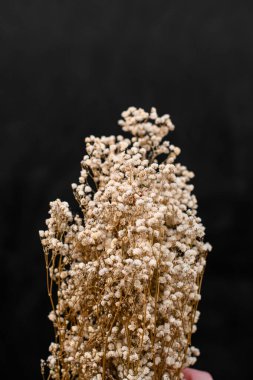 Kuru pastel nötr güzel suni dallı küçük çiçekler. Şefkat ve güzel yapay çiçek, şehvetli bir bukette.