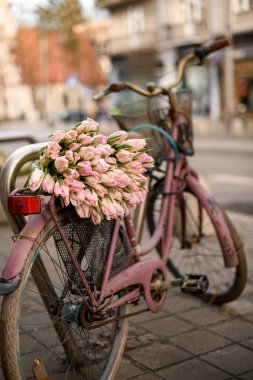 Bulanık arka planda güzel pembe lalelerin Provence tarzı fotoğrafı. Şefkat ve cazibe bir bukette