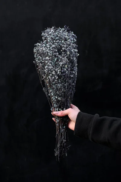 Light skin hands of the girls with a stile dry small flowers. Dried flower in grey color in a floristry composition of flowers on a black background