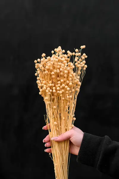 Dried flower in beige color in a floristry composition of flowers on a black background. A beautiful light beige flowers in a womans hand in a black
