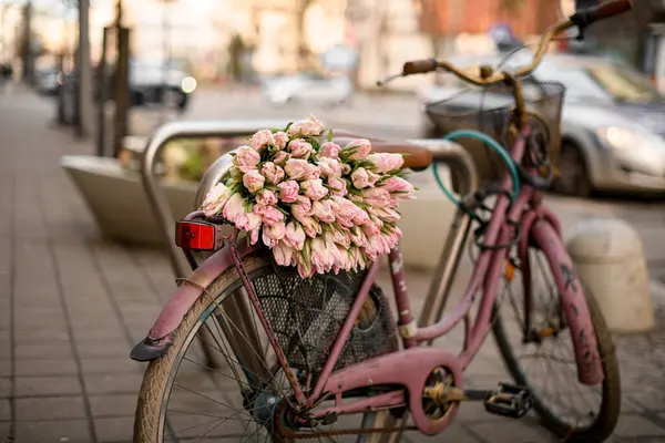 Street and bicycle with a tenderness bouquet of beautiful soft pink tulips. Composition in Provence style