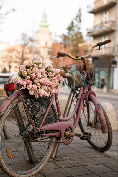 Tenderness bouquet of pink flowers on a bicycle. Composition in a Provence style on a blurred background.
