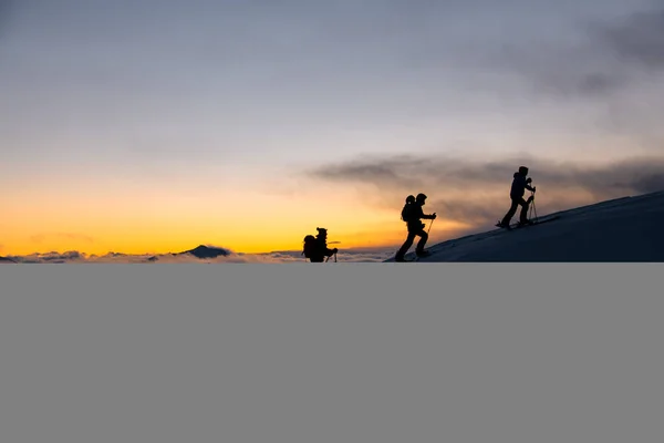 Silhuetter Fyra Skidåkare Med Stolpar Nådde Den Högsta Punkten Bergsmassivet — Stockfoto