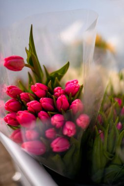 Çiçekçide seçici bir şekilde taze pembe laleler buketine odaklan. Satılık taze bahar çiçekleri. Çiçek işi. Çiçekçi dükkanı konsepti