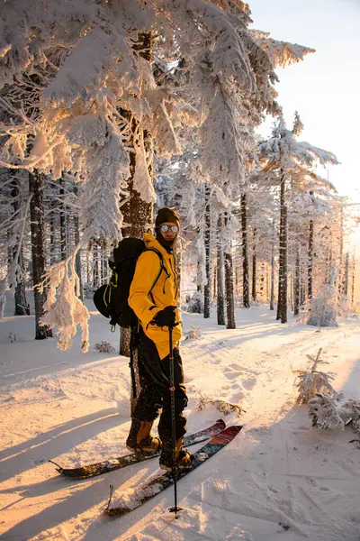 Kışın yolculuk ekipmanı giymiş erkek kayakçı güneşli bir günde karla kaplı dev köknar ağaçlarının arka planında duruyor. Kış dağlarında büyülü bir macera.