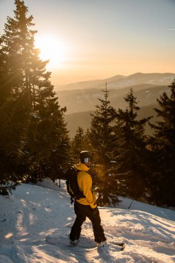 Parlak ceketli, siyah kasklı parlak güneş ve köknar ağaçlarıyla çevrili bir adam. Snowboard sezonu ve kış sporları konsepti