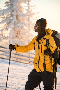 Gezgin, güneşli bir günde karla kaplı dev köknar ağaçlarının arka planında duruyor ve hayatın tadını çıkarıyor. Kış yürüyüşü, macera konsepti