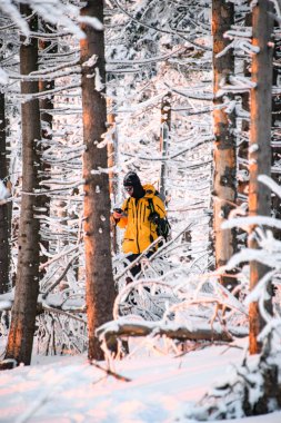 Erkek kayakçı, kış ormanında telefon ekranına bakıyor. Güzel kış manzarası, karla kaplı köknar ağaçları. Kış etkinliği kavramı