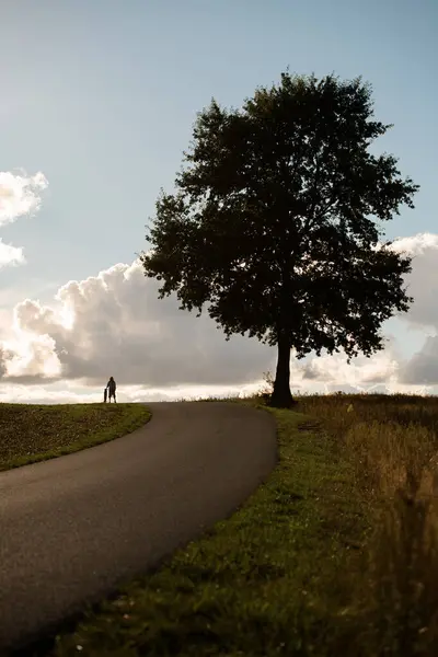 Bermandikan Sinar Matahari Dia Merangkul Ketenangan Dekat Longboard Dan Pohon Stok Gambar Bebas Royalti