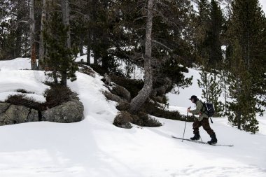 Ellerinde kayak sopaları ve omuzlarında bir sırt çantasıyla kayak yapan kayakçı güzel bir orman manzarası, kayak, turizm arka planında karlı bir yamaçta kayak yapıyor.