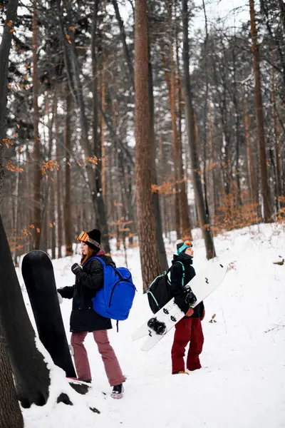 Kadın ve erkek, karlı bir ormanın ortasında ellerinde snowboardlarla yamaçlarda kayak yapmaya hazırlanıyorlar. Kış sporları. Ekstrem sporları severler